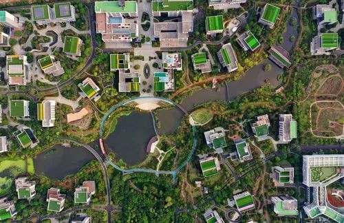 海南“全岛封关”， 封的是什么？