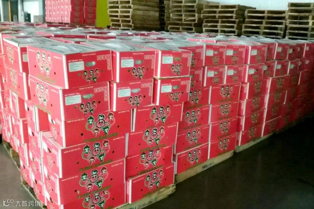 海关严打侵权！这些产品出口被查获