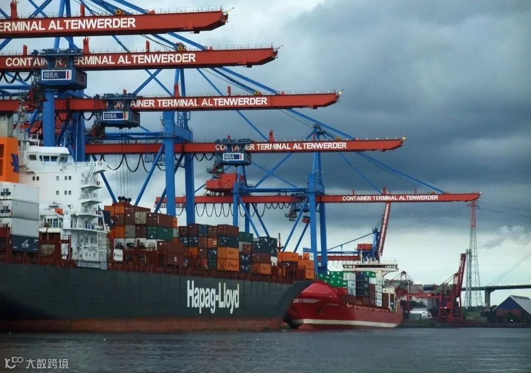 减班！爆仓！涨价！红海危机之下货代人何去何从