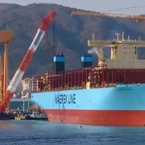 任性丨特立独行的MSC上周出招，这一次航运业又被“震伤”！