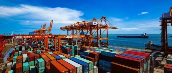 严查！宁波宣布对船公司/货代/堆场/报关行等哄抬价格等违法行为开展专项整治行动