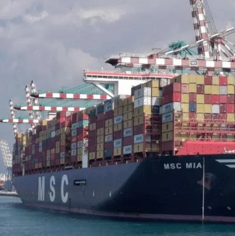 全球运力增长至2550万TEU，以星运力增幅最高，MSC运力增长最多