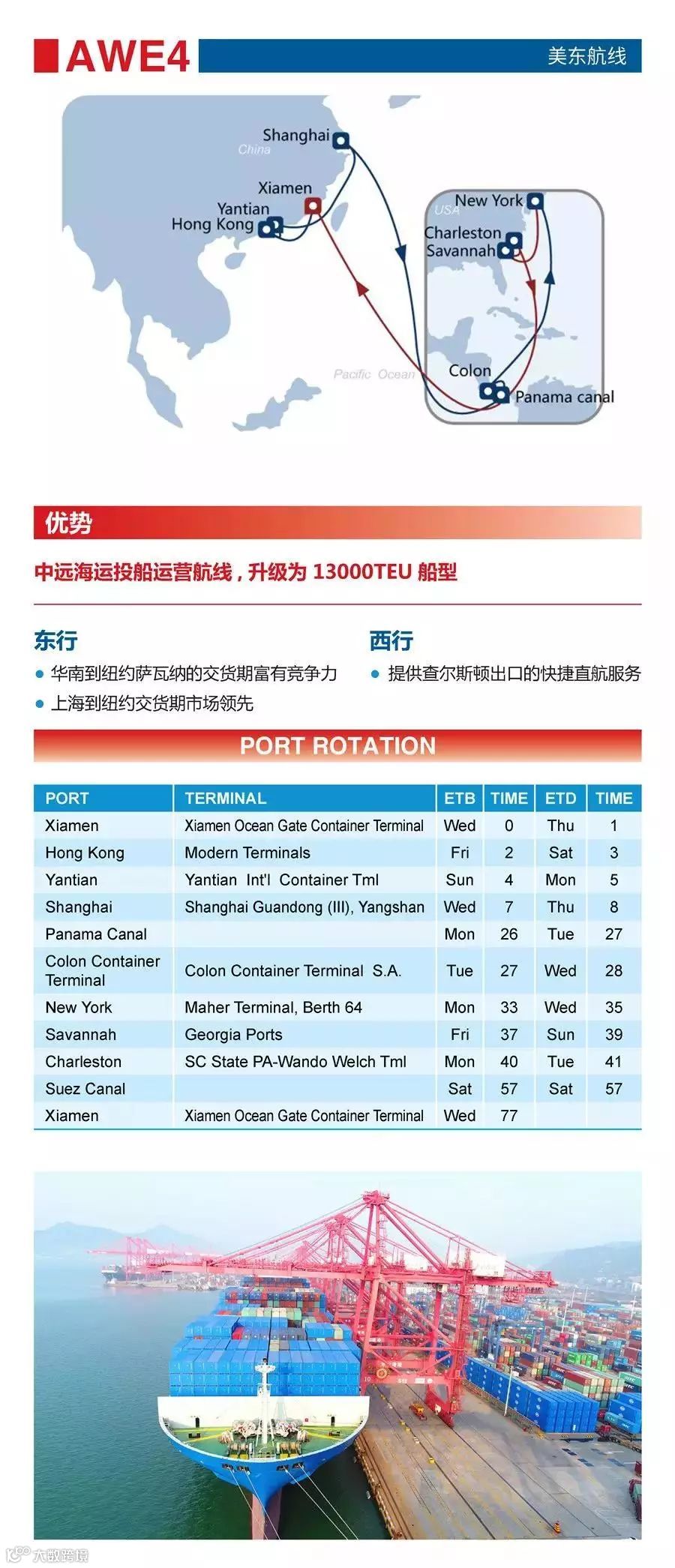 一天内发布24条航线，这家船公司还能再牛B一点吗？