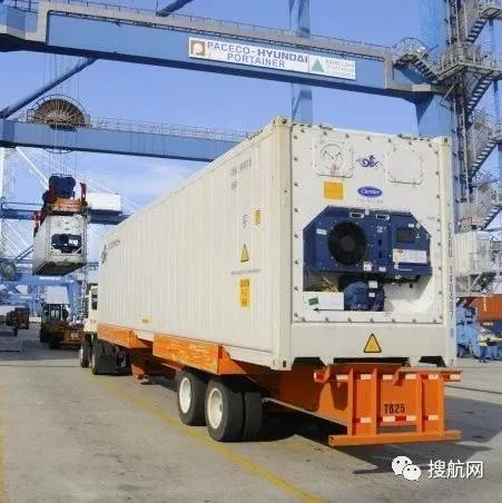 德鲁里：未来几年冷藏箱市场大幅增长，将超过干货市场