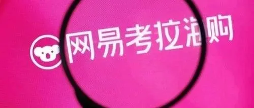 跨境电商 | 是什么让丁磊突然终止考拉并购？