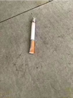 汇率跌成狗，运费还没收到，这俩月可能又白干了！