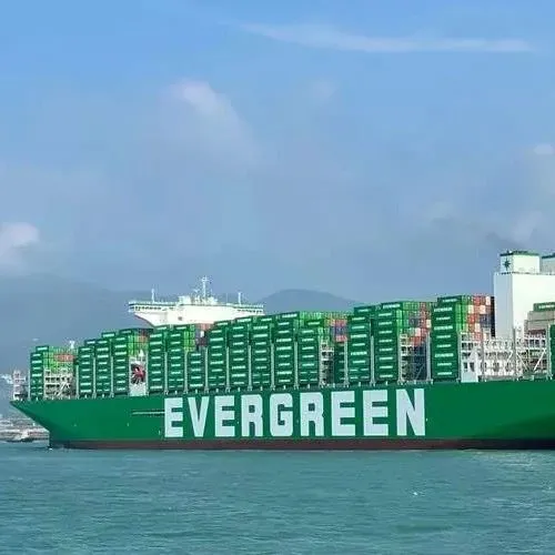 又发年“中”奖了！平均每人超10倍月薪，阳明最高！