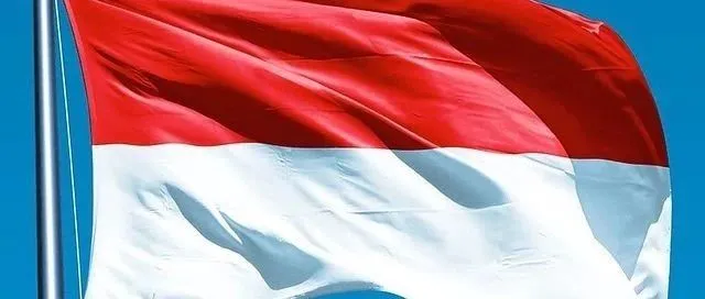 一起吃个瓜，看印尼给航运业带来的一个笑话。