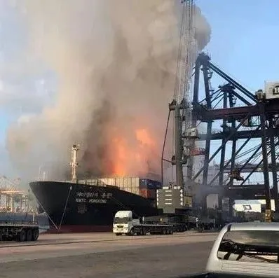 重要提醒丨多家船公司开始加强这两方面打击力度，违者最高罚款超10万/柜 ！