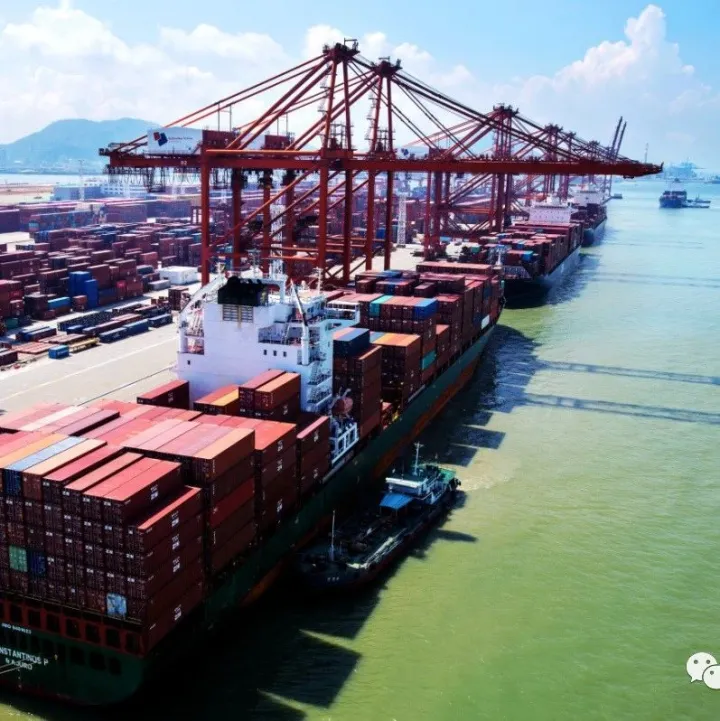 高运价将持续到2月，集装箱船延误创纪录，延误时间越来越长