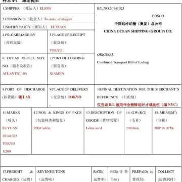 干货 | 报关单上的提单号真是提单号吗？