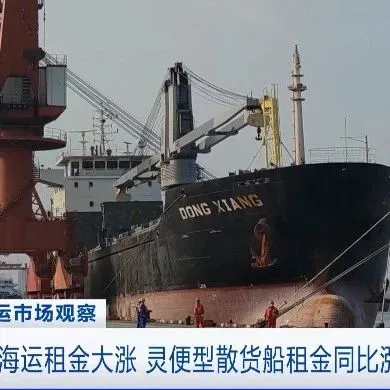 央视：这种海运方式价格大涨！有船日租金近30万元！未来还要涨？