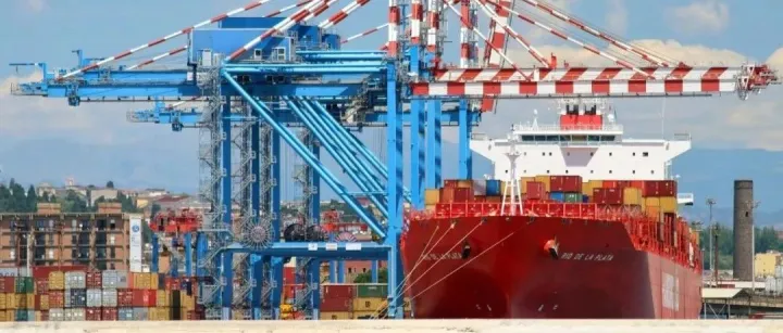 运价暴跌后企稳！船公司计划在春节后取消一半亚洲出发的航次（附停航汇总）