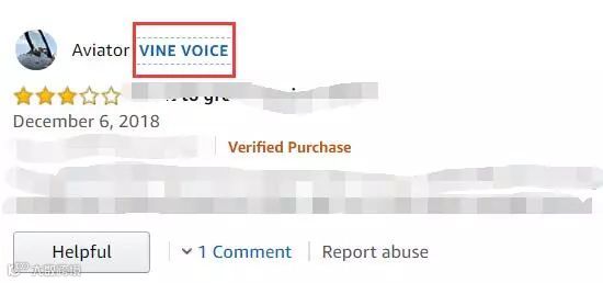 什么是VINE VOICE Review？