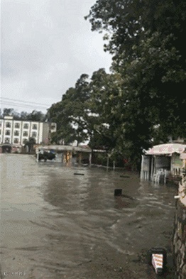 关注丨今年最大台风中午横扫华南，今晚22:00后各大港口将陆续恢复正常作业！
