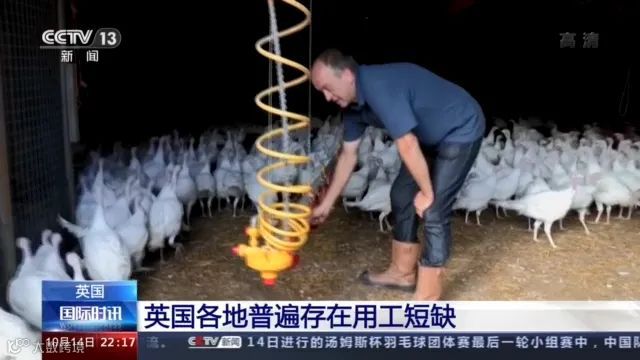 大量货物堆积港口,这些地方深陷供应链危机