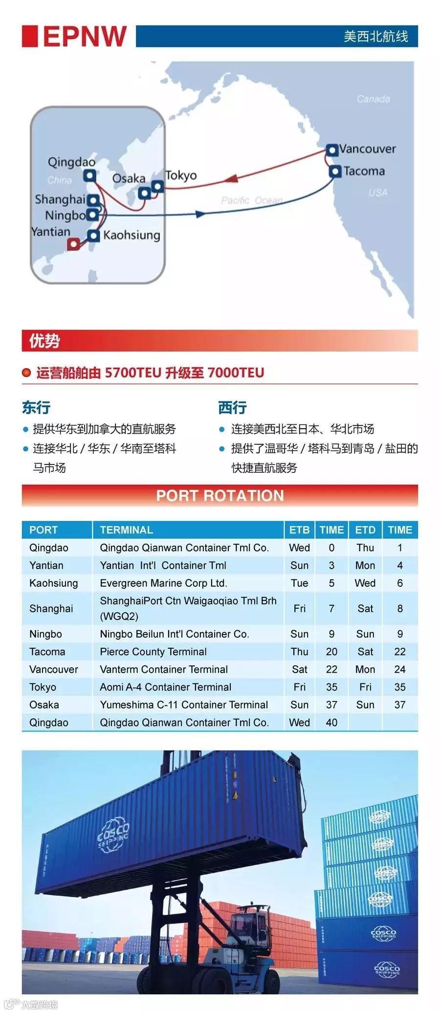 一天内发布24条航线，这家船公司还能再牛B一点吗？