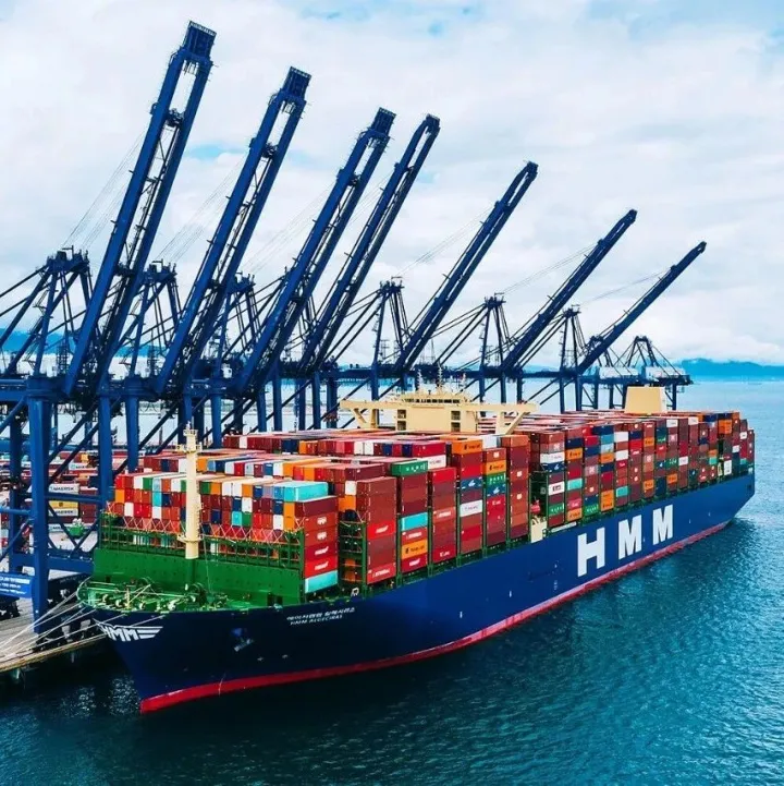 大股东确定HMM私有化的潜在收购对象？