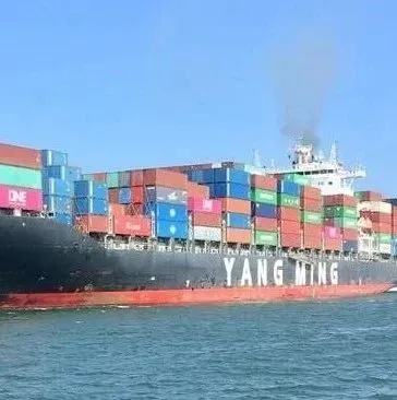 继现代商船救起23人后，阳明海运一集装箱船在新加坡海域救起2人！