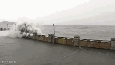 关注丨今年最大台风中午横扫华南，今晚22:00后各大港口将陆续恢复正常作业！