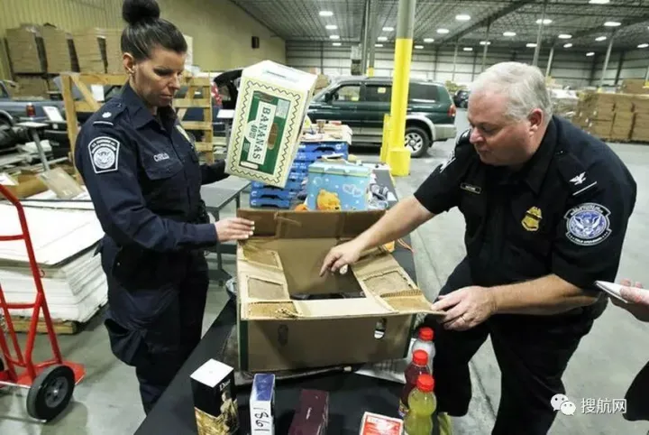 美国海关将对电商进口商展开调查，低报价格将面临十倍以上罚款，甚至承担法律责任！