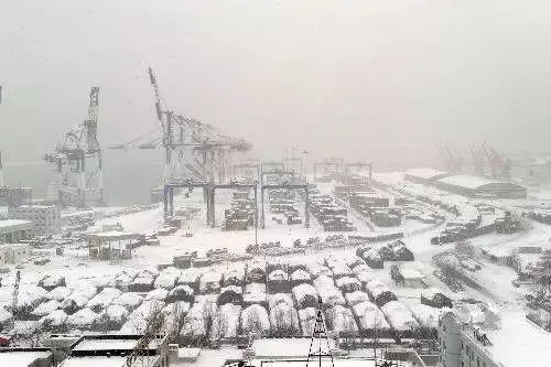 预警丨受暴雪袭击，美国两大集装箱港口将关闭！