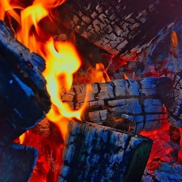 煤炭先行！运价下跌或将成为货代打响澳大利亚市场的前奏