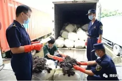 刚刚，中国政府宣布了这项新政，一些进口企业和货代或将面临倒闭！