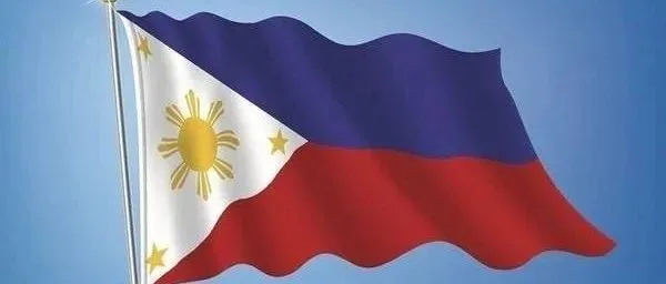 独家丨货主报关行抗议之后，菲律宾紧急废除“到港7天不清关做弃货处理”，最新规定是......