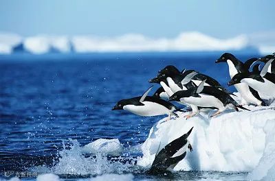 货币“腰斩”，阿根廷告急！土耳其告急，巴西告急！