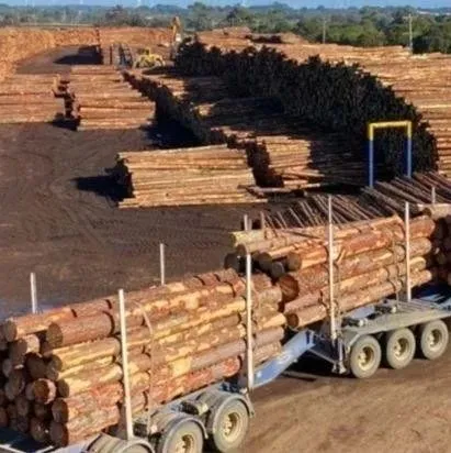 澳大利亚又有两州被海关总署点名，暂停进口！