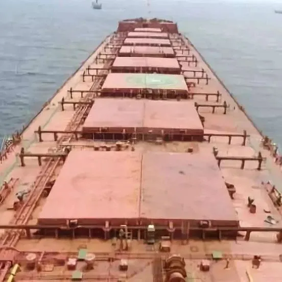 这家经营着500多艘船舶的百年跨国企业，对这一市场表示负增长担忧