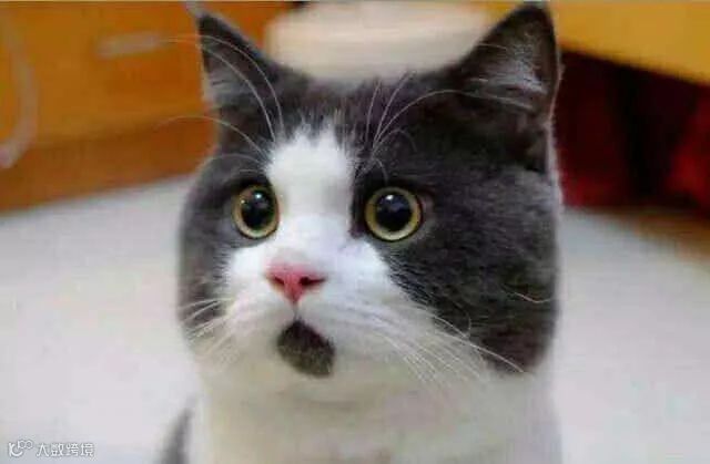 他居然用了三个月才将新品推上架,会不会太慢?