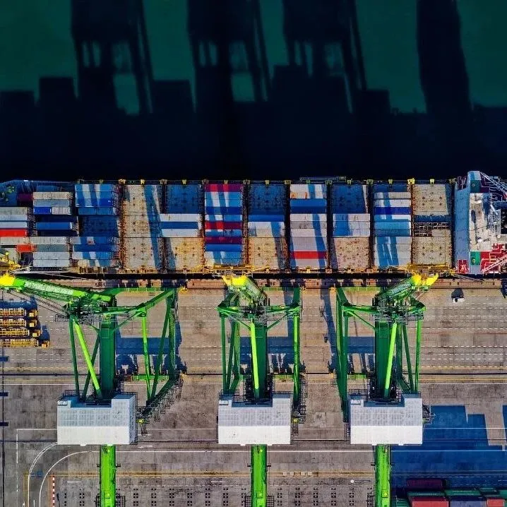 宁波舟山港又一集装箱码头泊位对外启用