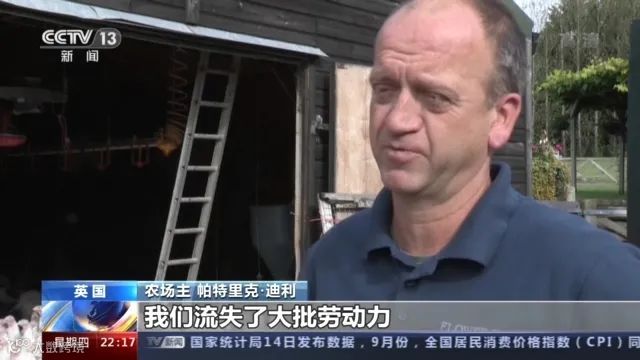 大量货物堆积港口,这些地方深陷供应链危机