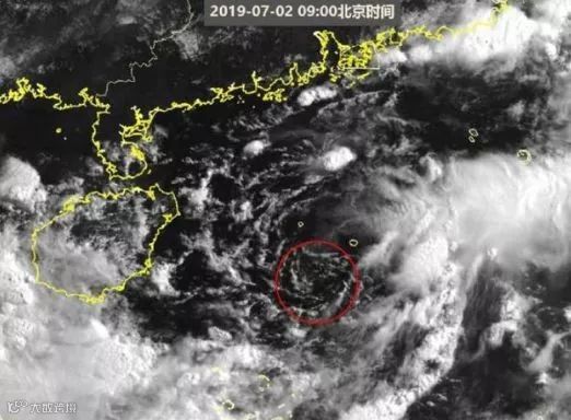 注意丨今年首个台风来袭，码头已发出预警，外贸货代企业需留意！