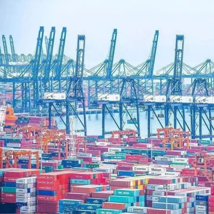 财报丨各大口岸年报出炉，多个口岸营收同比增长