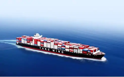 新官上任三把火，阳明海运高层人事大调整！