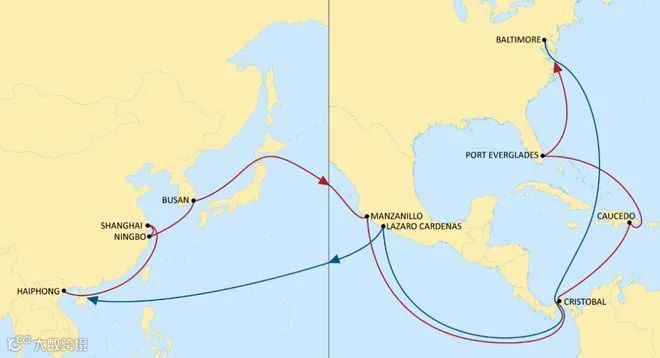 航运资讯 | MSC更新两航线港口挂靠；香港破获史上最大货物走私案！