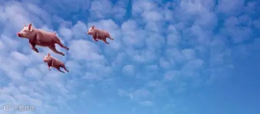 跨境电商丨风口上的“肥猪”,2016年交易2.6万亿