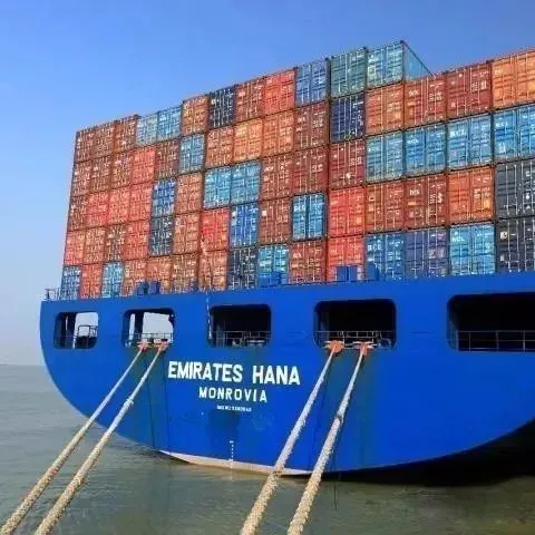 热闹丨有船公司刚关停中东航线，马上又有两条全新的中东印巴航线开航！中东运价还有救吗？