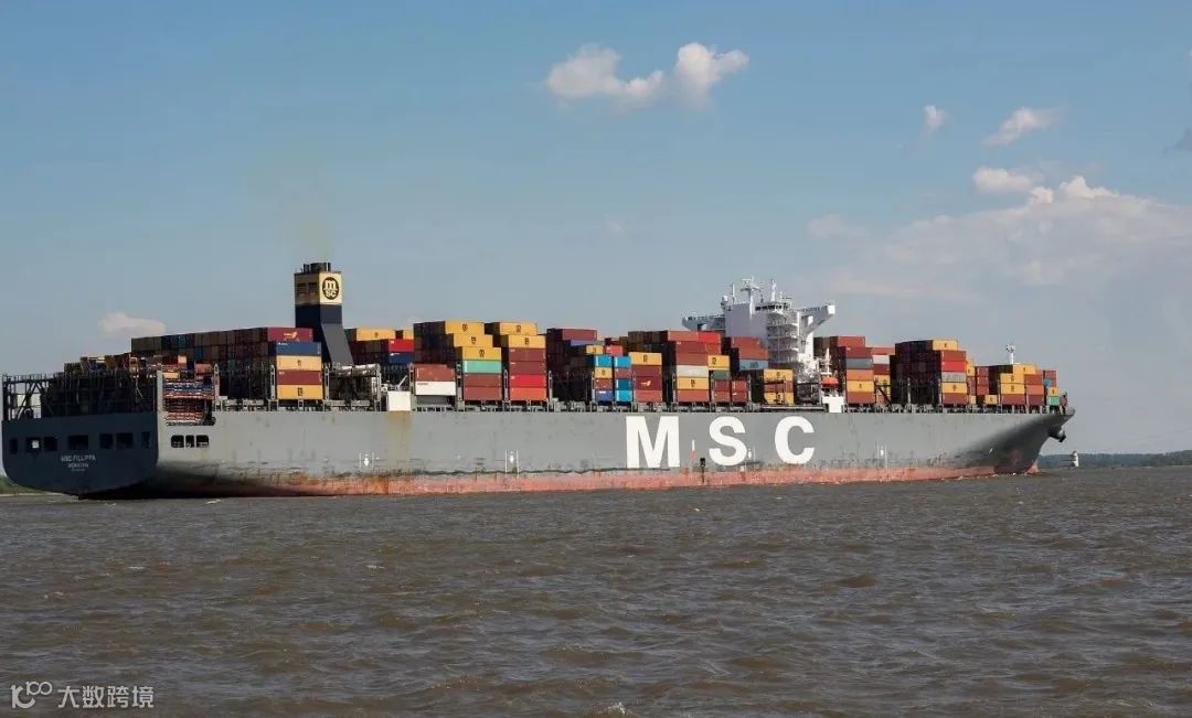 不涨价！MSC：维持目前运价到4月中旬
