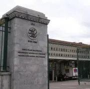 WTO：预测今年全球贸易缩水13%至32%,，下滑幅度可能超过金融危机