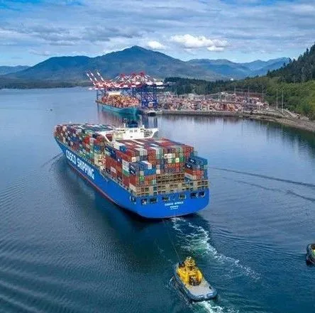 中远海运开通“美线中小客户服务专线”，花钱“买舱保柜”时代正式开启？