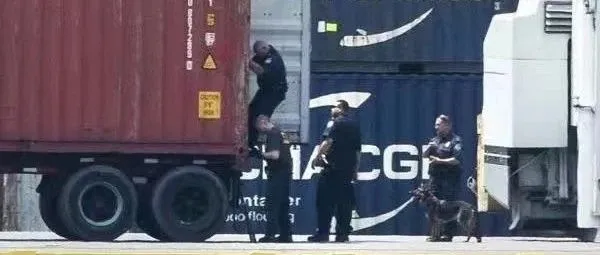 重磅丨毒品案持续发酵，美国暂停地中海航运C-TPAT资格，部分航线将面临查验率上升货物延误！