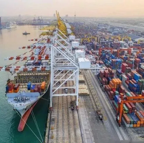 该港来自南亚的进口量不断增加，使其免受来自中国的进口可能放缓的影响