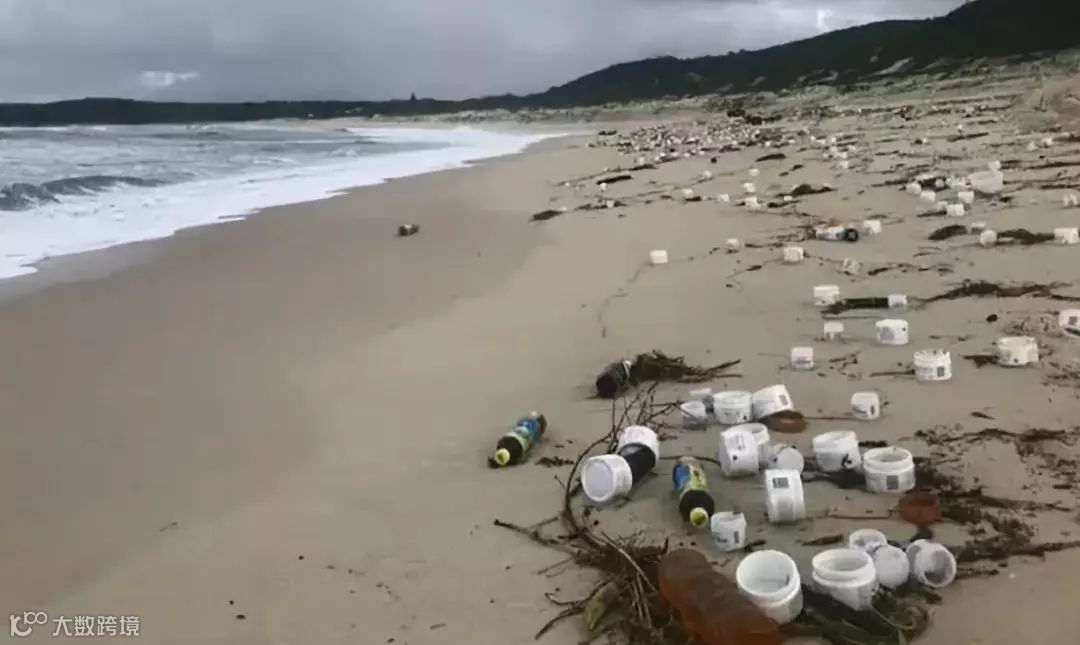 最新丨阳明发布澳洲集装箱坠海事故后续处置安排，外贸货代企业需关注船期延误情况！