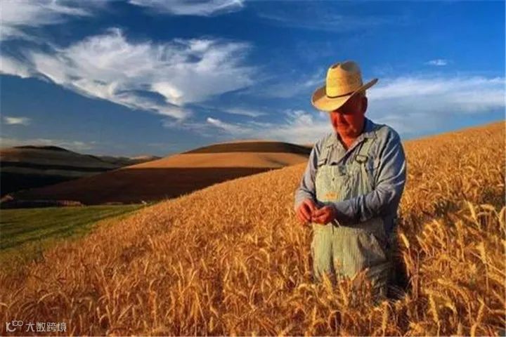 中国自美进口农产品大涨67%！猪肉增长223.8%、大豆增长56.3%……