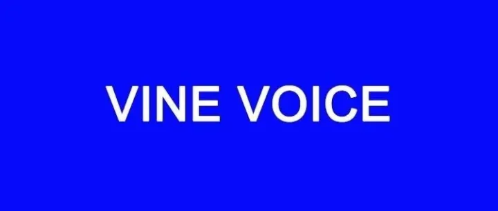 什么是VINE VOICE Review？