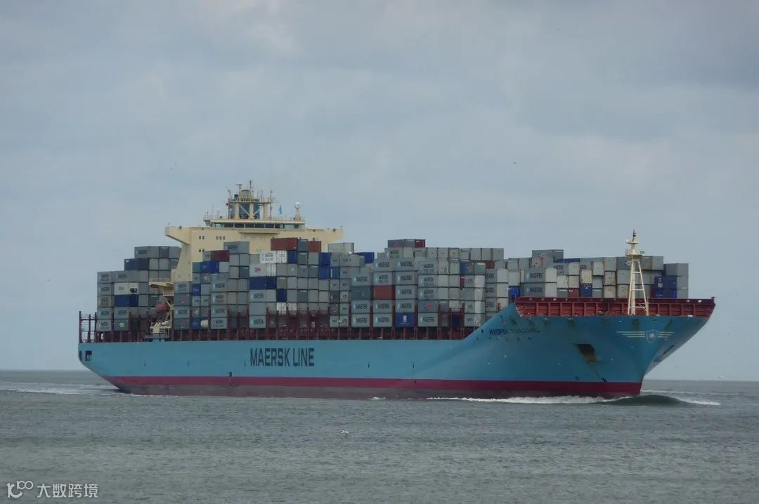 全球最大海运货代:今年没有旺季!